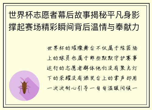 世界杯志愿者幕后故事揭秘平凡身影撑起赛场精彩瞬间背后温情与奉献力量 世界杯志愿者幕后故事揭秘平凡身影撑起赛场精彩瞬间背后温情与奉献力量